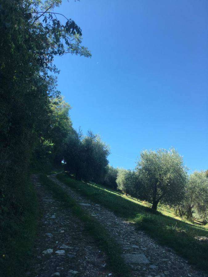 Villa San Regolino Whit Private Pool Radicondoli Dış mekan fotoğraf