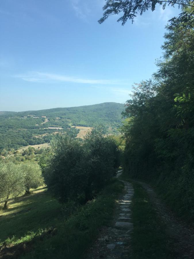Villa San Regolino Whit Private Pool Radicondoli Dış mekan fotoğraf