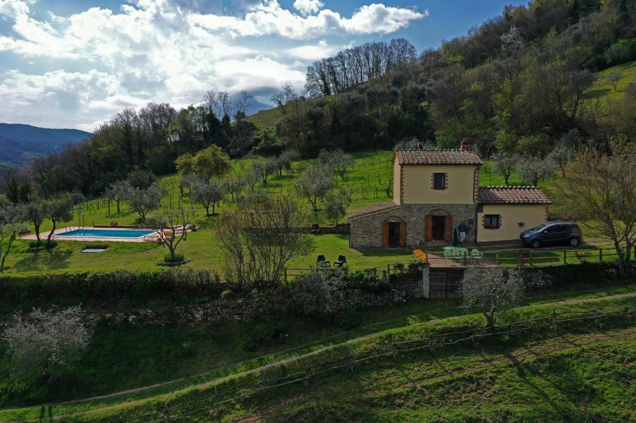 Villa San Regolino Whit Private Pool Radicondoli Dış mekan fotoğraf